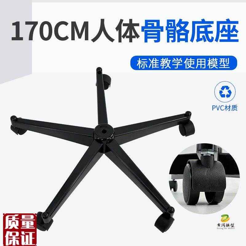 170cm人体大骨骼模型w配套的塑料底座黑色塑料底座及支架铁