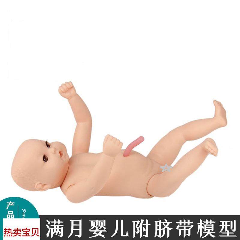 高级出生婴儿附脐带模型婴儿模型O月嫂家政培训娃娃