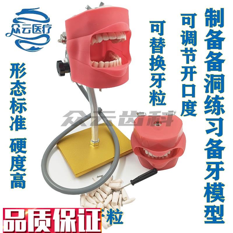 齿科备牙练习模型牙科牙模可拆卸口腔技能K考试练习仿真离体树脂