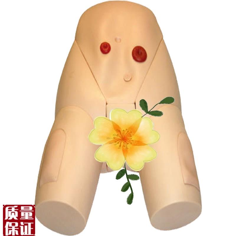 高级女性导尿j模型JY/H17F佳悦科教
