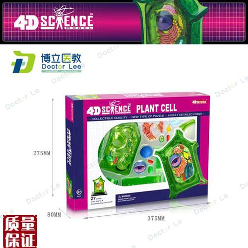 正品4Dmaster动物植物细胞模型儿童益智N玩具幼儿园科学实验教