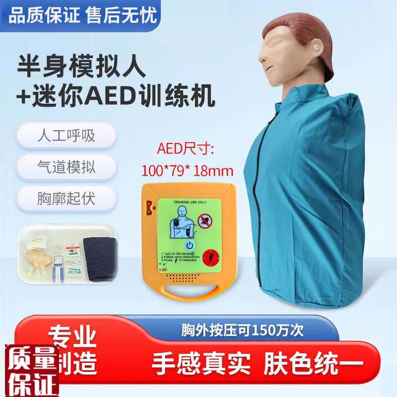CPR智能半身心肺复苏训练模型及除颤训练迷你AEXD体外除颤训
