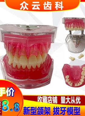专业牙齿拔牙练习模型模具全口可拆卸牙齿软牙P龈28颗单色恒牙包
