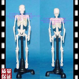 骨骼模型 沖五鉆b 超級(jí)可愛 20CM高小人骨骷髏模型人體模