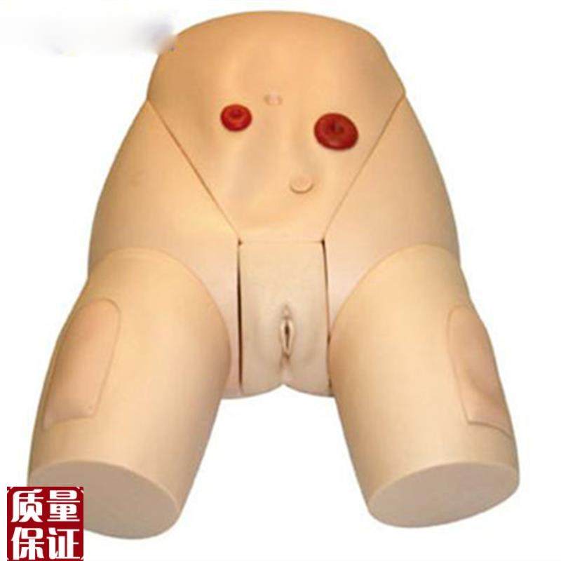 高级医学导尿器官实习练习模型女性生殖器Q导尿培训模型训练模