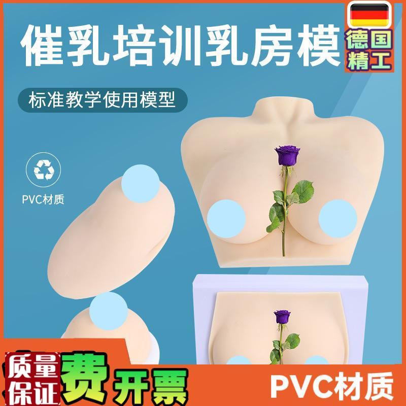女性乳房模型催乳师培训道具z哺乳教学模型硅胶假乳房医学教