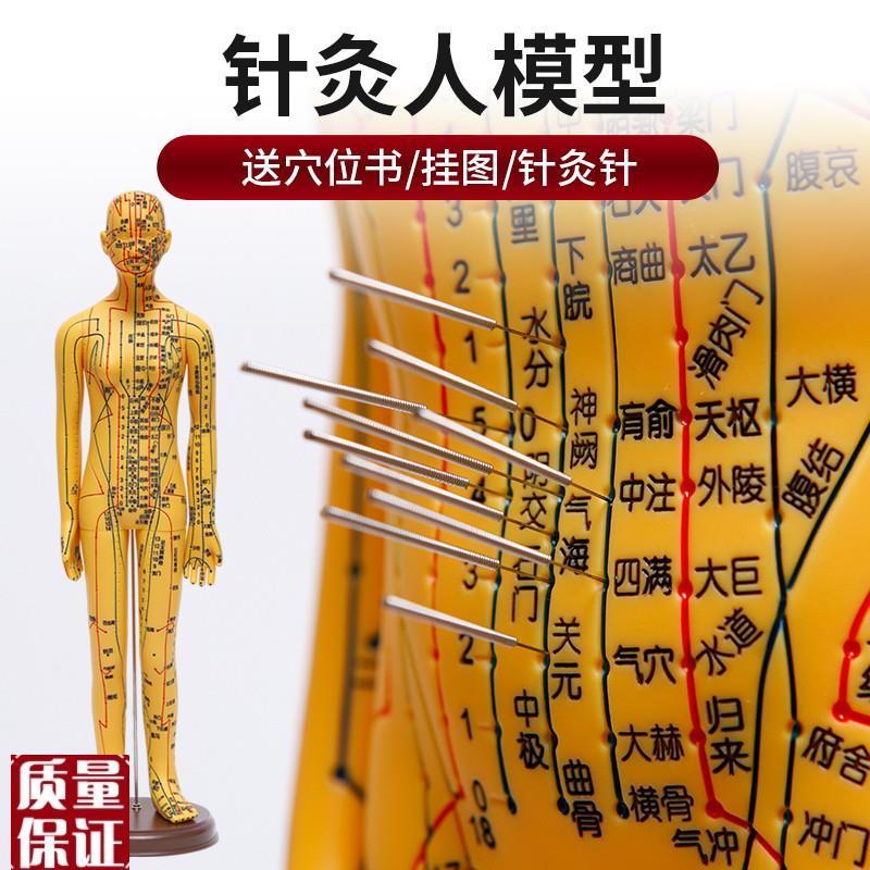 中医针灸穴位人体模型教学全身A十二经络图小皮人软胶扎针练习模