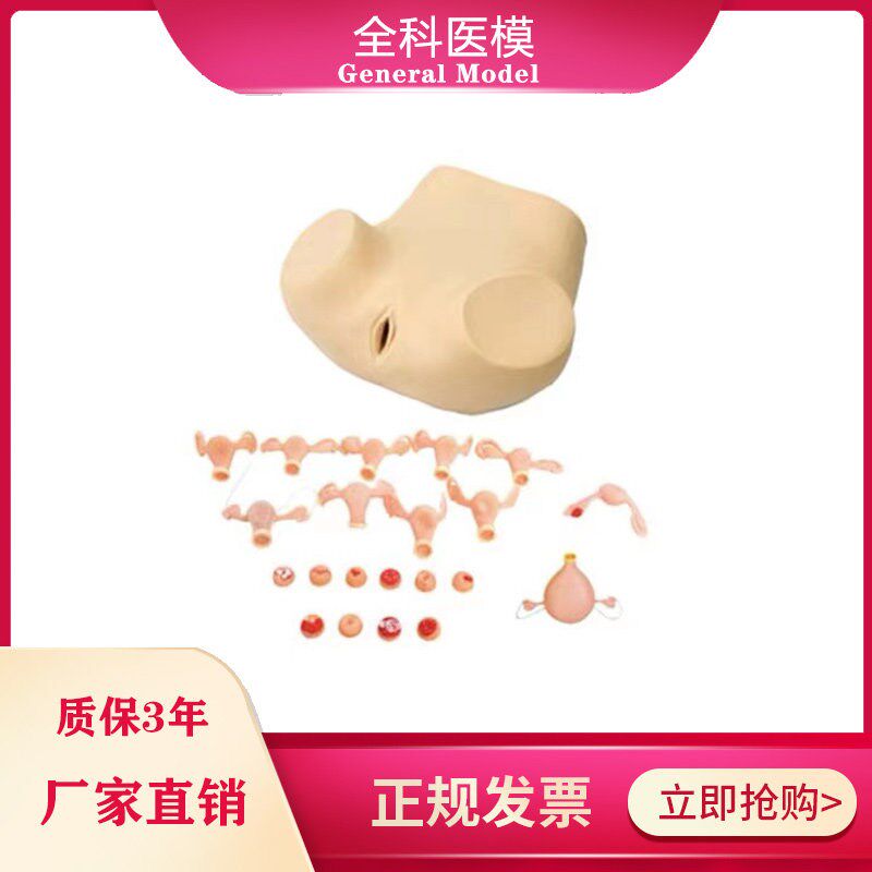 妇科检查训练模型脓肿积水宫颈炎白斑息肉女性生殖器.护理人模型