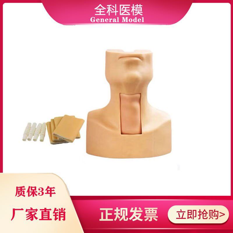 环甲膜穿刺模型 人体气管切开插管训练模型医R学用教学模型模具