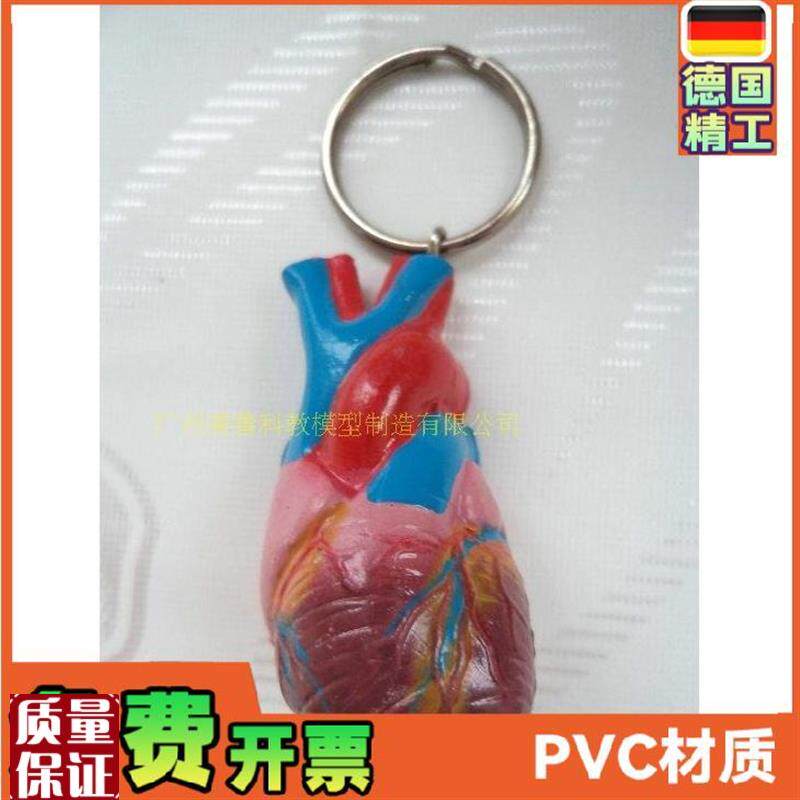 心脏钥匙扣仿真心脏小型人体B心脏钥匙扣模型人体内脏钥匙