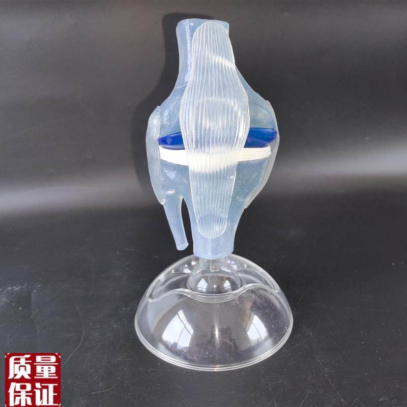 人体透明膝关节功能模型人体骨科骨J骼教学模型医患沟通模,文具电教/文化用品/商务用品,教学标本/模型,淘宝优惠券,粉丝福利购,淘宝优惠卷