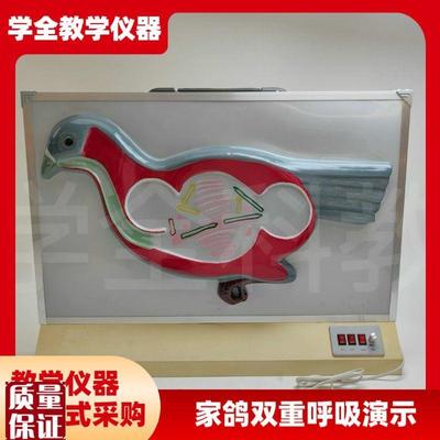 家鸽双重呼吸演示器(电动式y)生物教学演示模型教学展示器材教