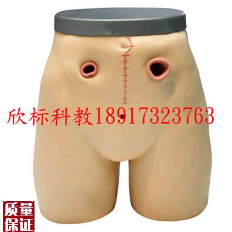 高级瘘管造口术护理模型回肠造瘘教Q学模型人体教学培