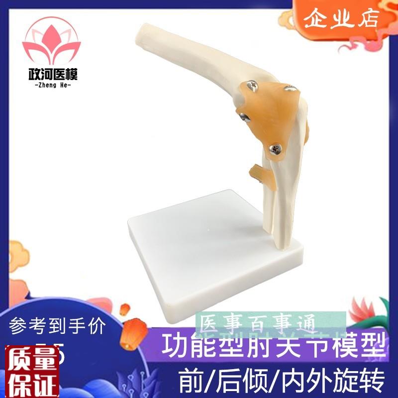 人体肘关节解f剖骨骼人体模型肘关节模型医学教具模具骨科示