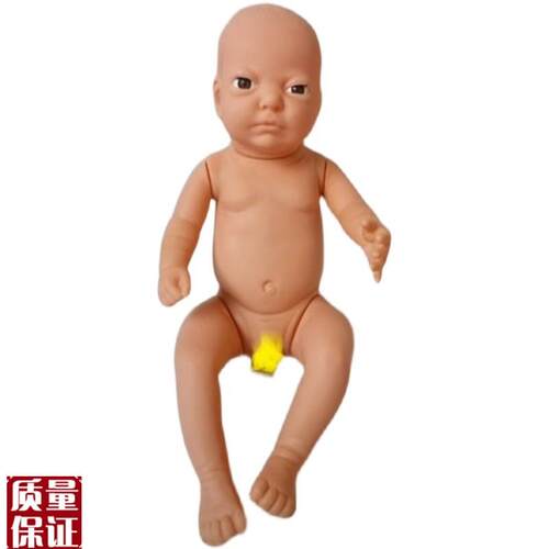 高级婴儿模型出生婴儿T模型新生儿模