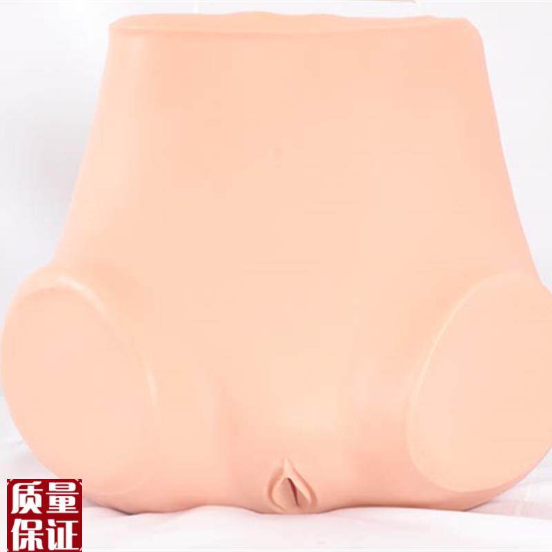 高级妇科训练模型妇y产科教学模型妇科检查模