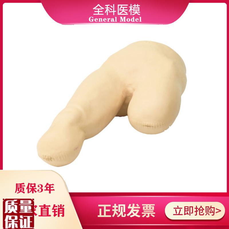 低位包扎模型腿部l下肢截肢病人三角巾包裹训练教学假人体模具LV1