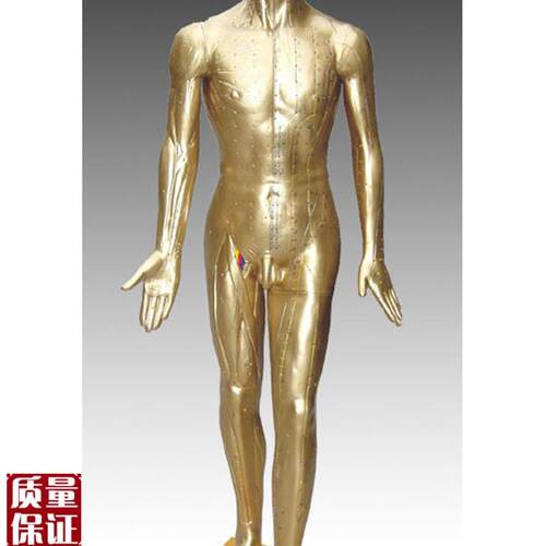 中医标准人体针灸铜n人84CM(青铜色)练习假人经络模具穴位橡皮