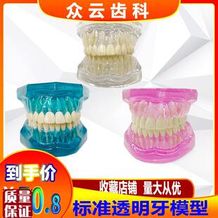 牙科口腔教学模型标准牙齿透明水晶模型全口28颗假Z牙模牙不可