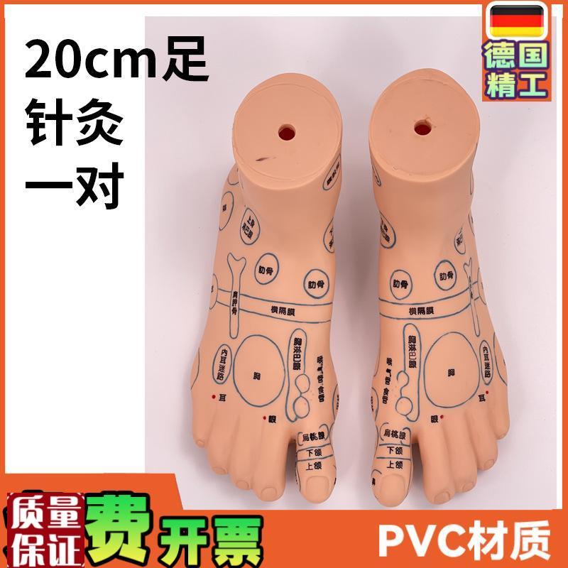 超清晰19CM足部反射区w模型人体穴位教学脚模针灸推拿按摩穴