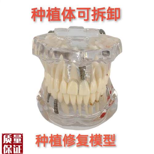 口腔护理设备礼盒