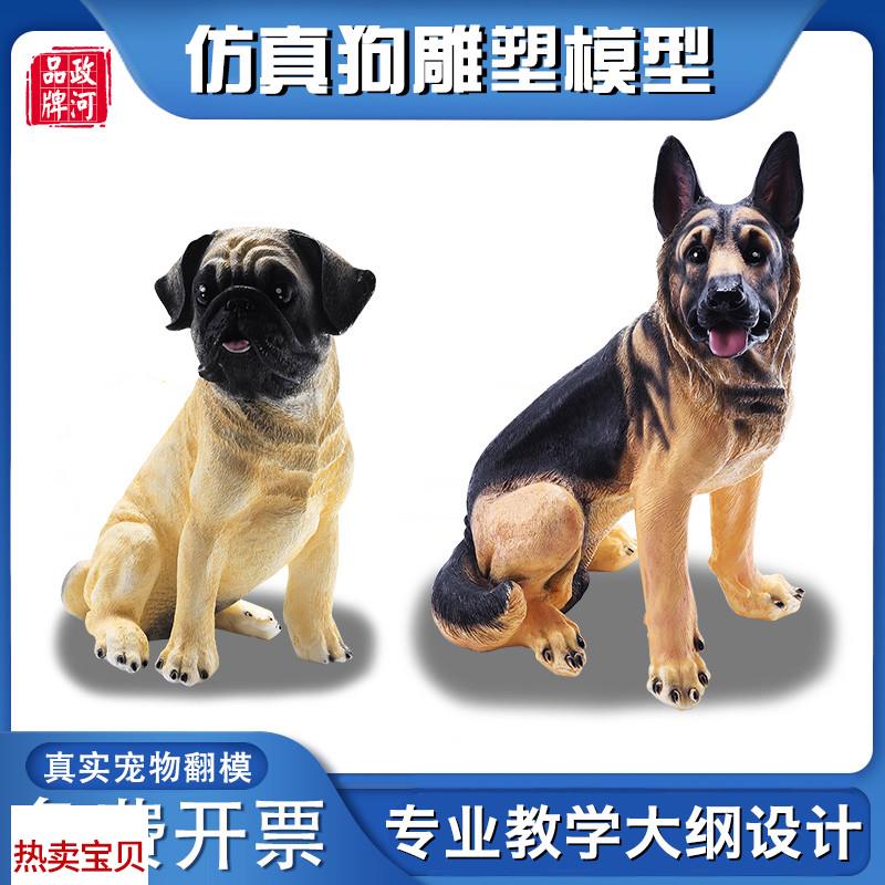 政河狗狗模型g宠物店摆件医院教学用儿童早教玩具仿真雕塑艺术绘