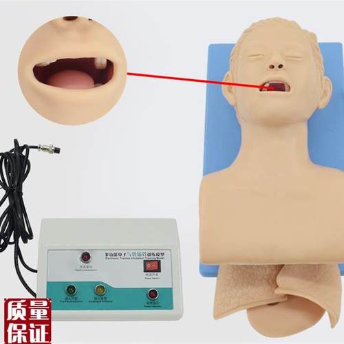 电子人体气管插管训练模型带牙齿受力报警成人Y气道插管模
