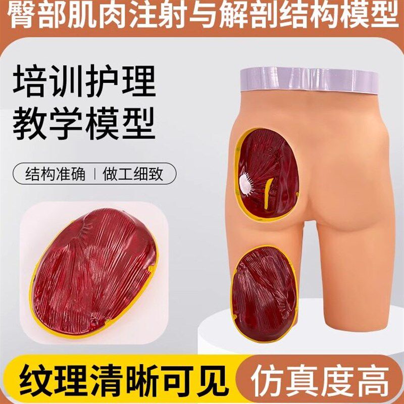 臀部肌肉注射模型带结剖结构对比护理扎针培训S练习护士操作模具