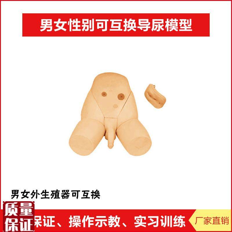 男女性别可互换护理导尿模x型结肠造瘘口护理模块厂家直销正
