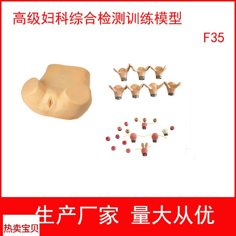 高级妇科综合检测n训练模型检查妇产科教学模型妇婴训练模