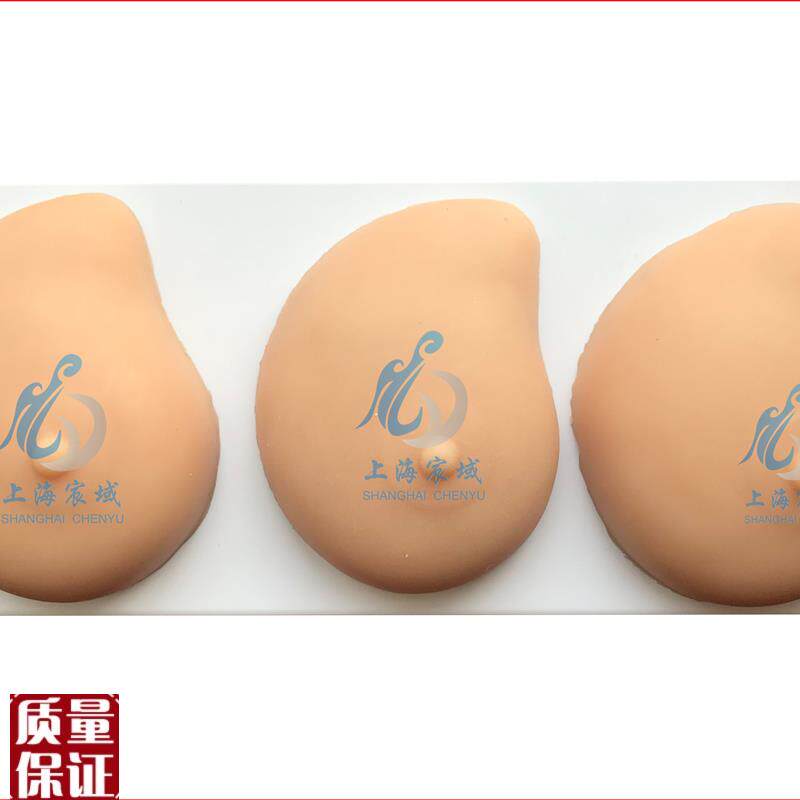 病理乳房模型乳房自v检模型病理硅胶医用教学模