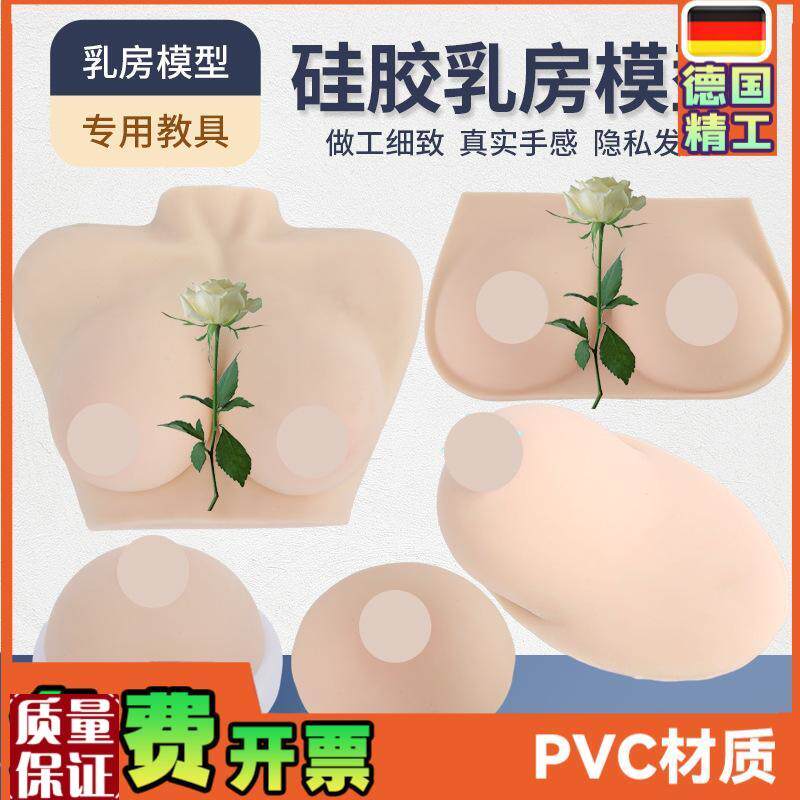 高级医学仿真女性乳房义乳假乳催乳师培训教具哺U乳教学纯硅胶模
