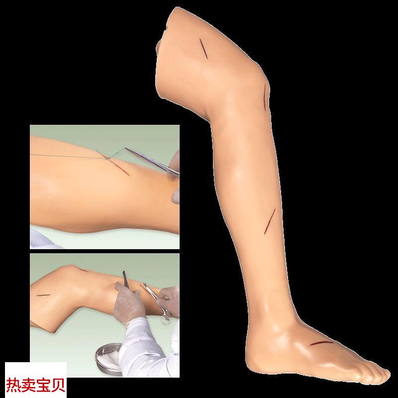 高级外科缝合下x肢模型GD/LV2