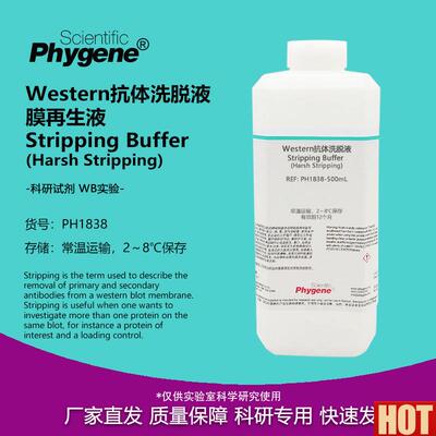 estern抗体洗脱液 膜再生d液 Harsh Stripping 抗体剥离去除液