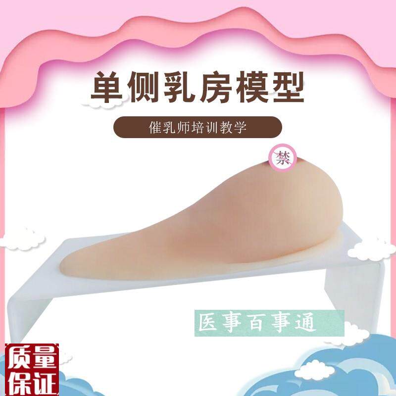 乳房女性乳房枪模义乳假乳催乳师培训玩具枪哺乳S教学模型(纯硅胶