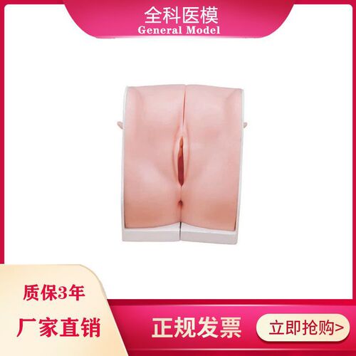 避孕指导模型 女性宫内节育器上环取环训练M模型 妇科教学用模型