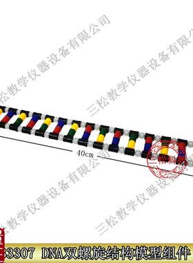 33307DNA双螺旋结构模型组件生物实L验演示DNA组成教学仪