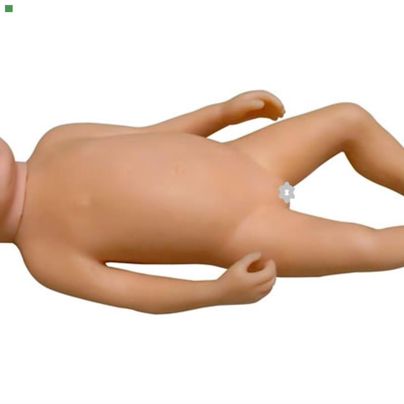 高级足月胎儿模型 家政培训婴儿模型 出生胎儿模型