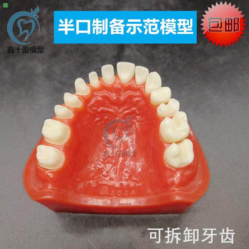 牙科半口烤瓷制备示范模型 上颌练习预备备牙模型可替换牙齿M802