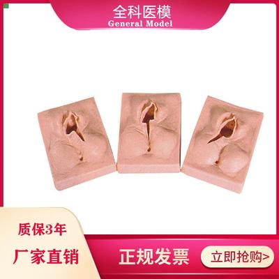 外阴缝合练习模型外阴切开切口模具生殖会阴侧切缝合手术练习模型