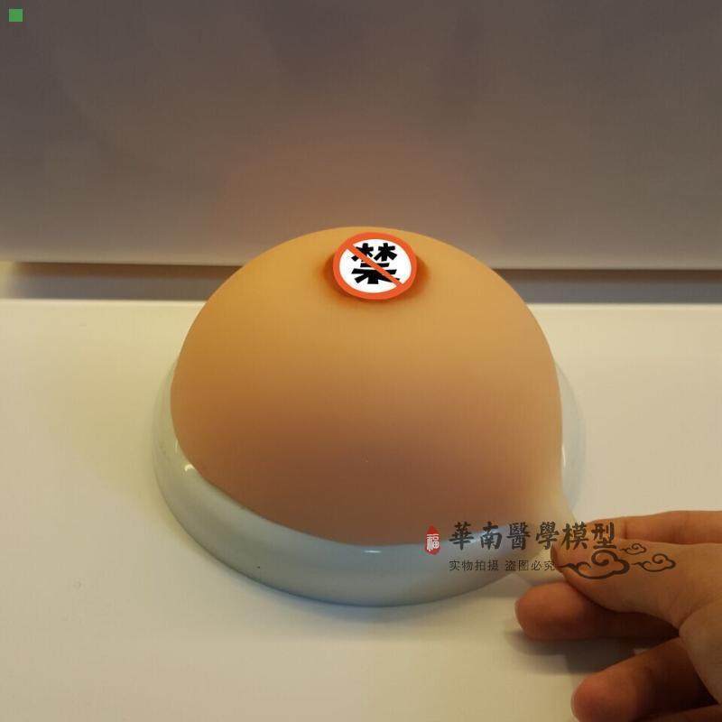 硅胶仿真乳房 义乳 假乳 医学教具 哺乳教学模型 催乳师教学道具