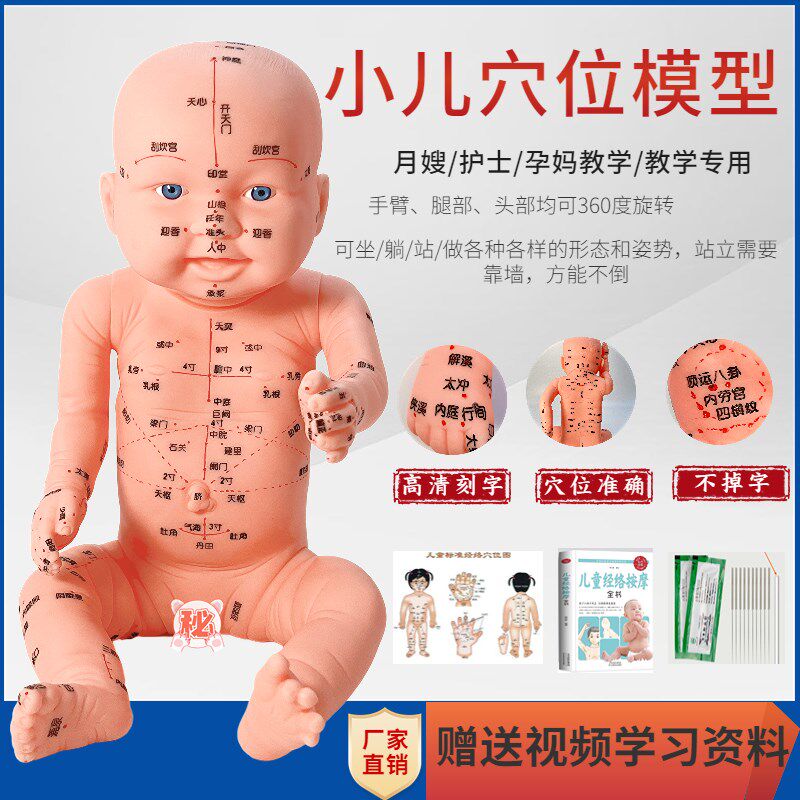 全身穴位娃娃经络图中医小儿推拿按摩书教学N保健月嫂培训宝宝模