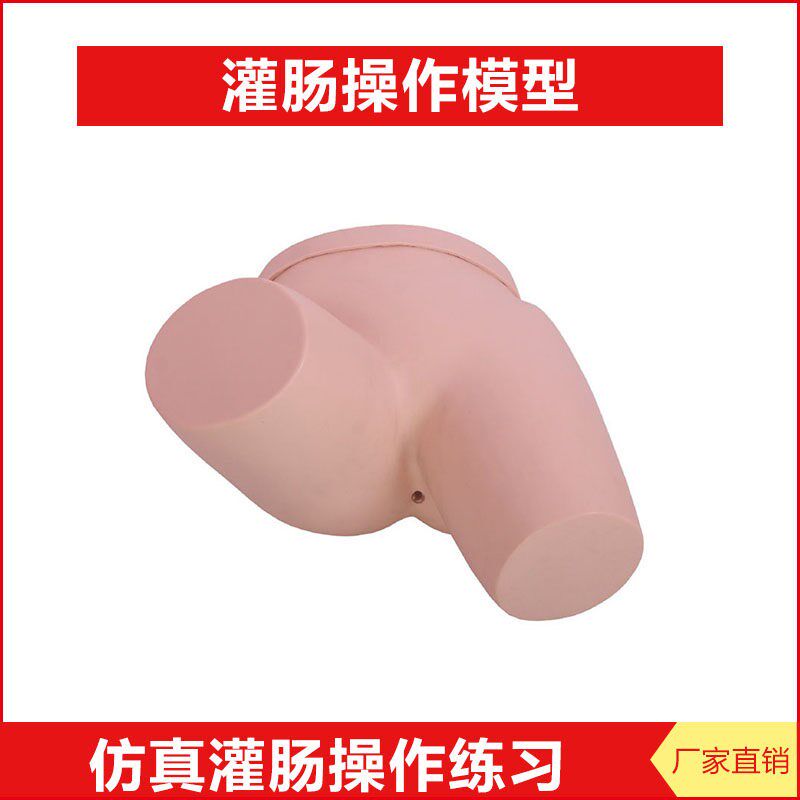 灌肠操作模型 15B 肛门u肛柱及直肠结构模拟人成人臀部穿刺阻滞感