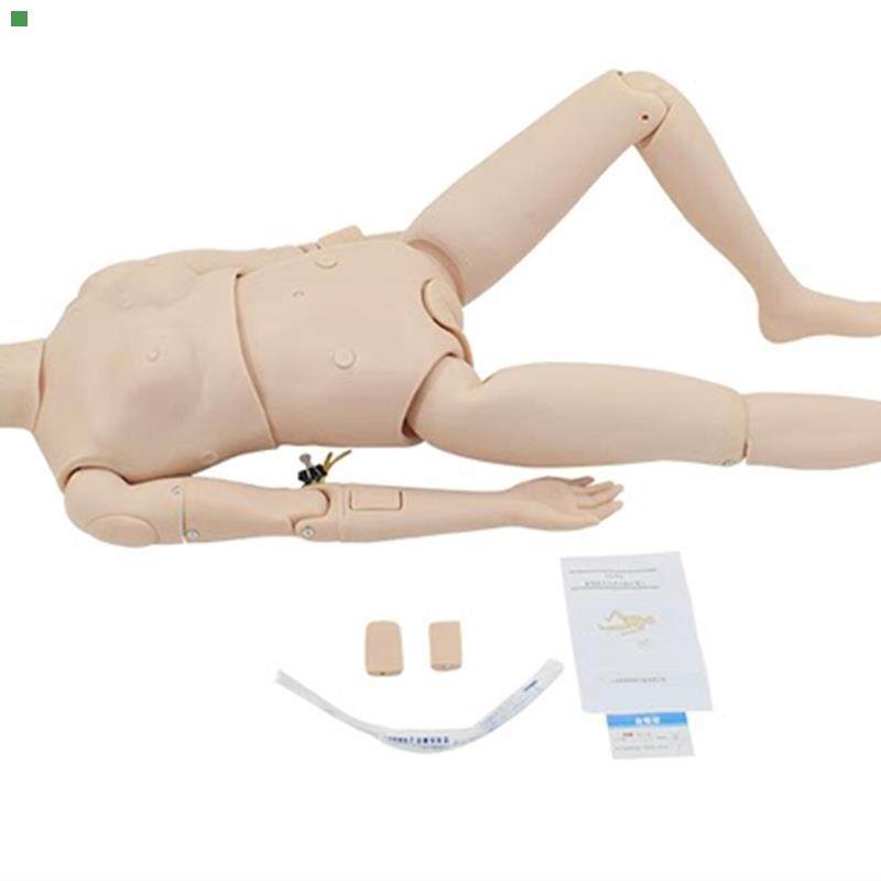 新型多功能护理人模型 女性护理实习操作橡皮人护士导尿插管模型