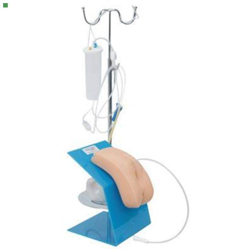 高级女性导尿模型 男女性导尿示教模型 导尿训练模型