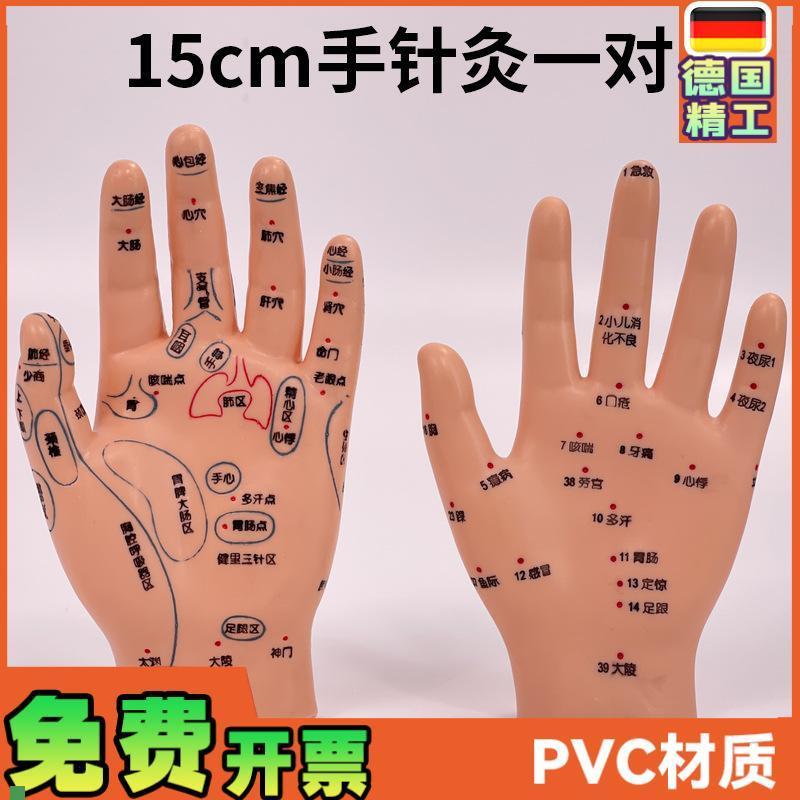 超清晰小儿手部反射区模型中医y推拿针灸教学穴位模型儿童仿真手