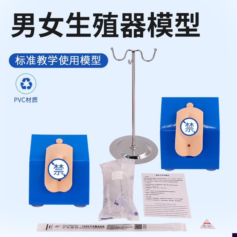 高级着装式c女性导尿模型外阴护理操作模块真实导尿操作训练模型