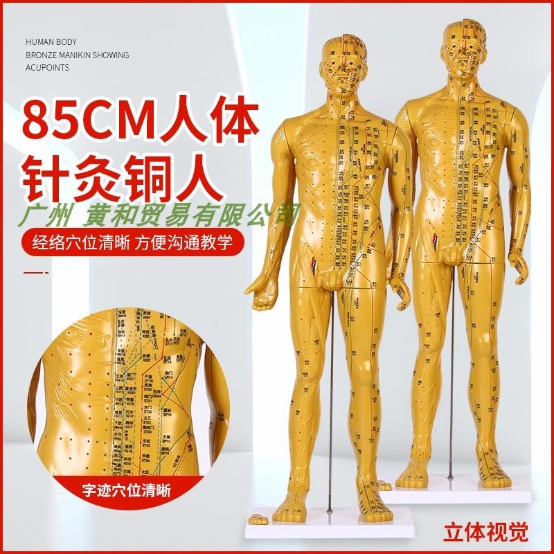 人体针灸模型/针灸铜o人模型/穴位铜人/人体经络模型(铜色)80C