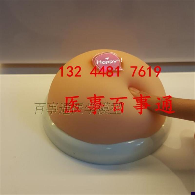 硅胶人体乳房模型 哺乳师培训教具假F乳房妇幼保健院护士培训教具