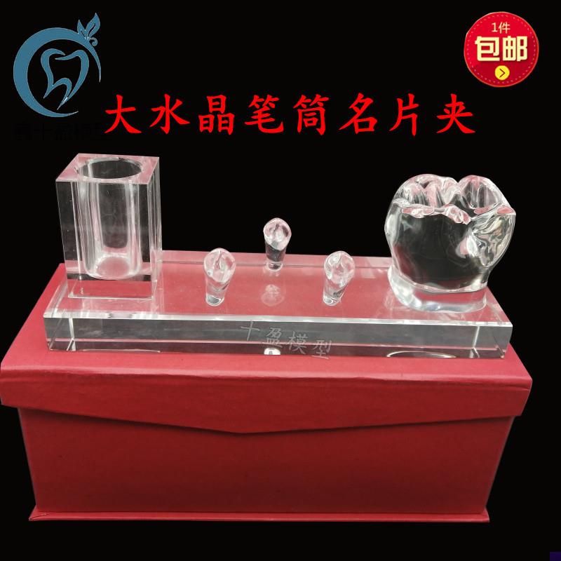 牙科摆件办公室摆件 高端水u晶名片夹 笔筒放置架牙齿形状摆件包